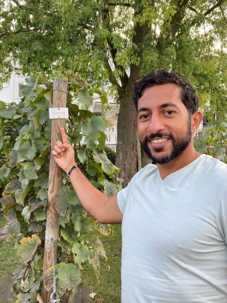 Khaleds Foto mit Riesling Rebsorte