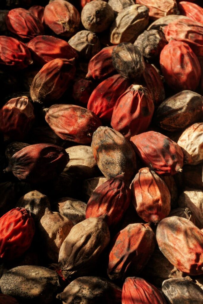 A detailed close-up of dried betel nuts showing their rich textures and colors.